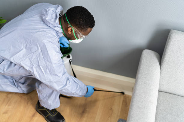 Best Pest Control for Hotels  in Kendall Park, NJ